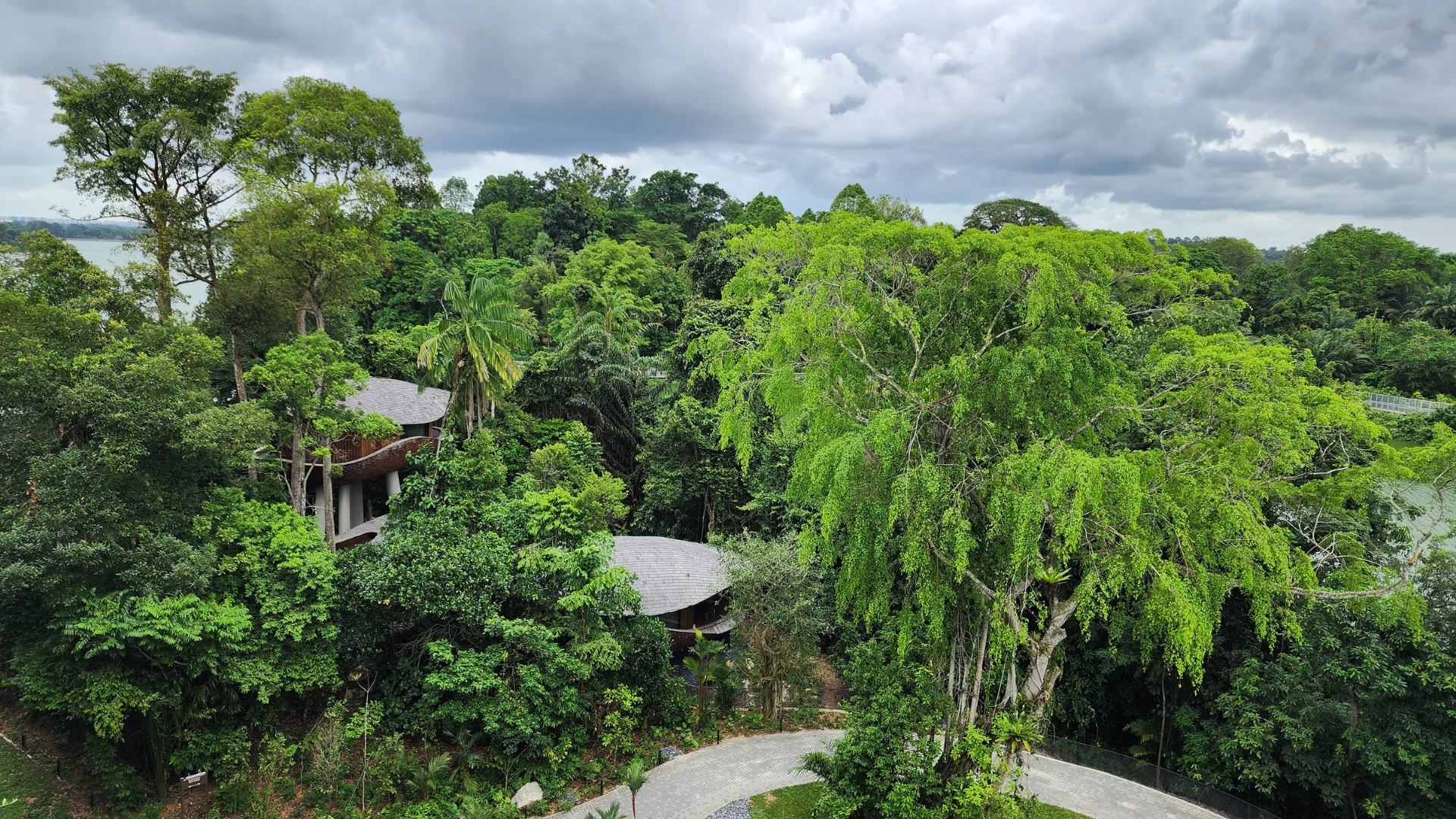 Mandai Rainforest Resort by Banyan Tree